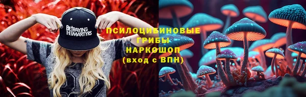 ALPHA-PVP Няндома