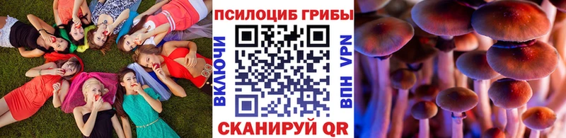 Галлюциногенные грибы Psilocybine cubensis  кракен ONION  Белебей 