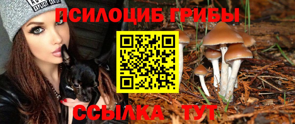 Галлюциногенные грибы мухоморы  Белебей 