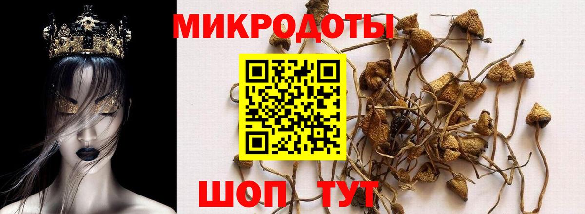 Псилоцибиновые грибы MAGIC MUSHROOMS Белебей